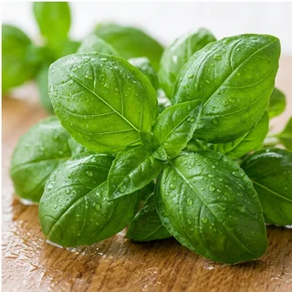 バジル